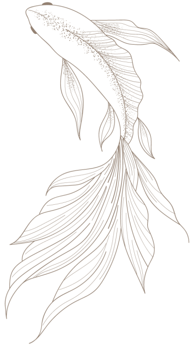 fish_right_Nao