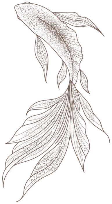 fish_right-e1684402875604